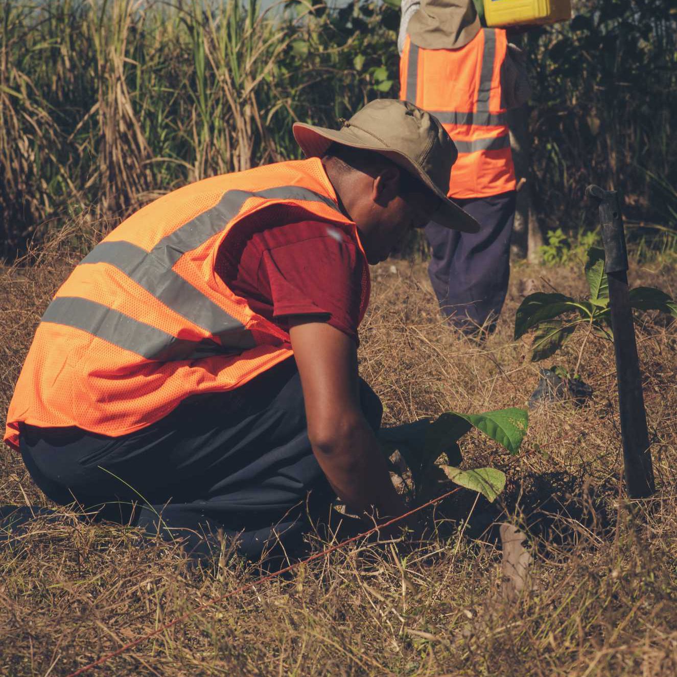 CADASA Panamá